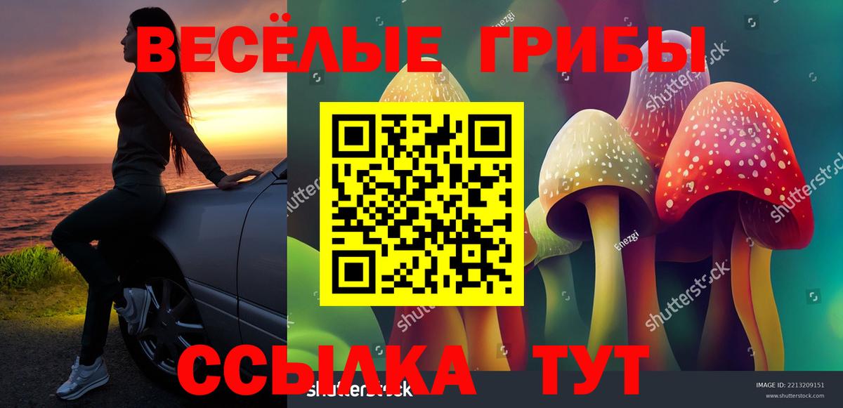 Зима  Псилоцибиновые грибы Psilocybine cubensis  Вход с VPN 